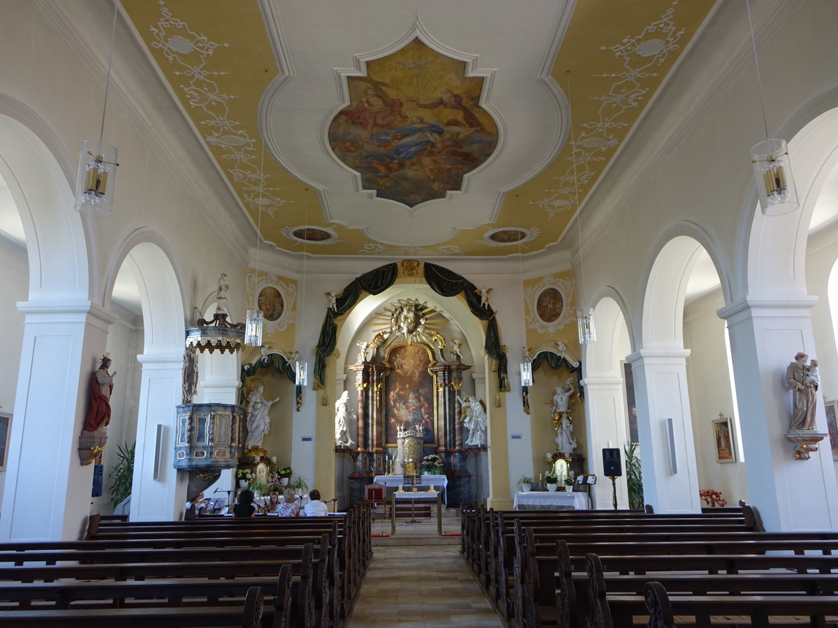 Eltingshausen, barocker Innenraum der kath. Pfarrkirche St. Martin (08.07.2018)