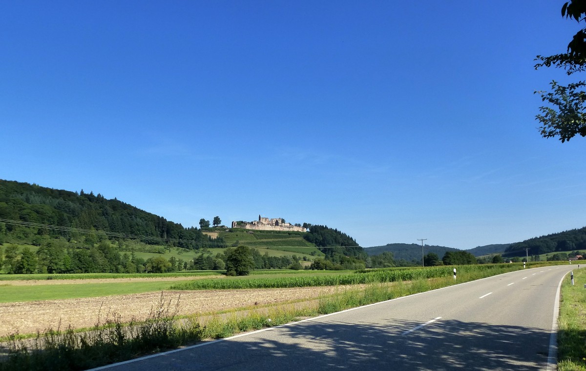 Emmendingen, die Hochburg, zweitgrte Burganlage in Baden, entstanden um 1127, Ruine seit 1688, Aug.2015