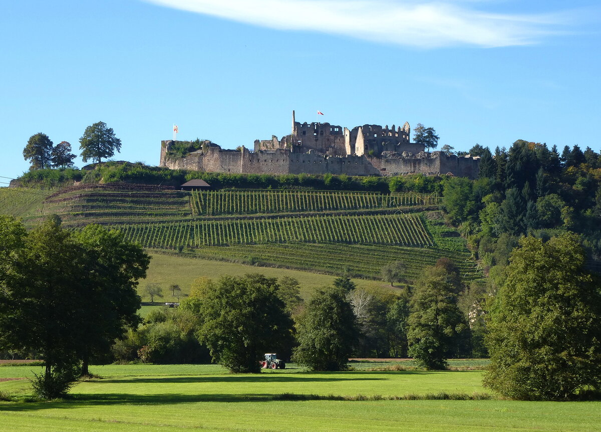 Emmendingen, die Ruine der Hochburg, Ansicht von Osten, sie steht in knapp 350m Hhe nahe der Stadt Emmendingen, ist die zweitgrte Burganlage in BaW, Entstehungszeit um 1127, zerstrt wurde sie um 1689 von franzsischen Truppen, die Anlage ist gesichert und ffentlich zugnglich, einschlielich eines kleinen Burgmuseums, Okt.2016