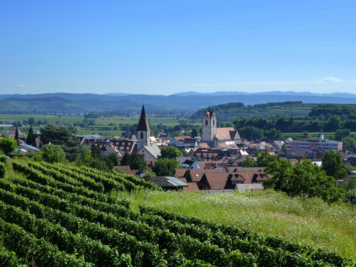 Endingen am Kaiserstuhl, Blick von den Weinbergen oberhalb der Stadt, links Kirche St.Martin, rechts Kirche St.Peter, im Hintergrund die Schwarzwaldberge, Aug.2016