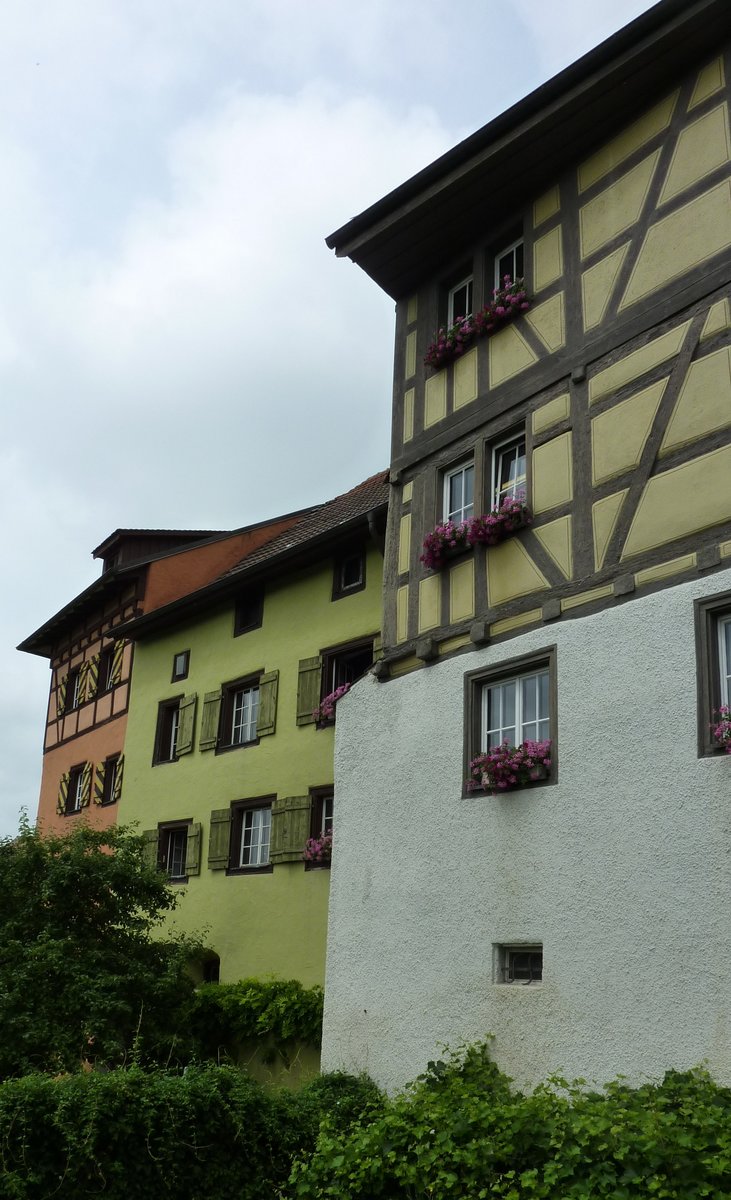 Engen, Wohnhuser an der westlichen Stadtmauer mit Fachwerkaufsatz, Juli 2012