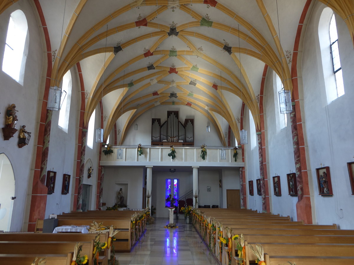 Engertsham, Orgelempore und Netzrippengewlbe in der Pfarrkirche St. Michael (21.10.2018)