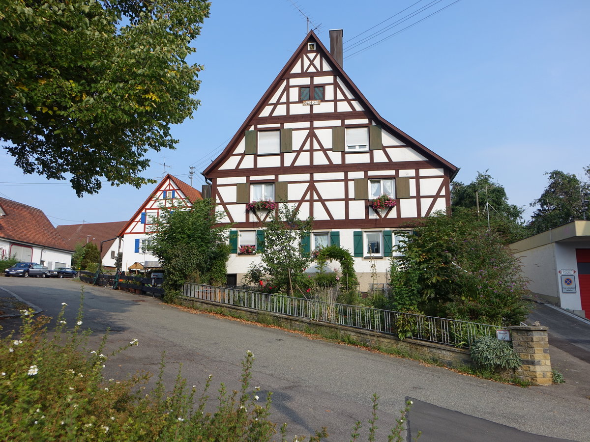 Engstlatt, Fachwerkhuser in der Strae im Hof (19.08.2018)