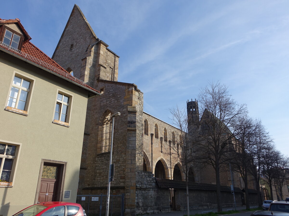 Erfurt, Barferkirche, erbaut im 14. Jahrhundert als Klosterkirche Franziskaner, zerstrt 1944 (10.04.2023)