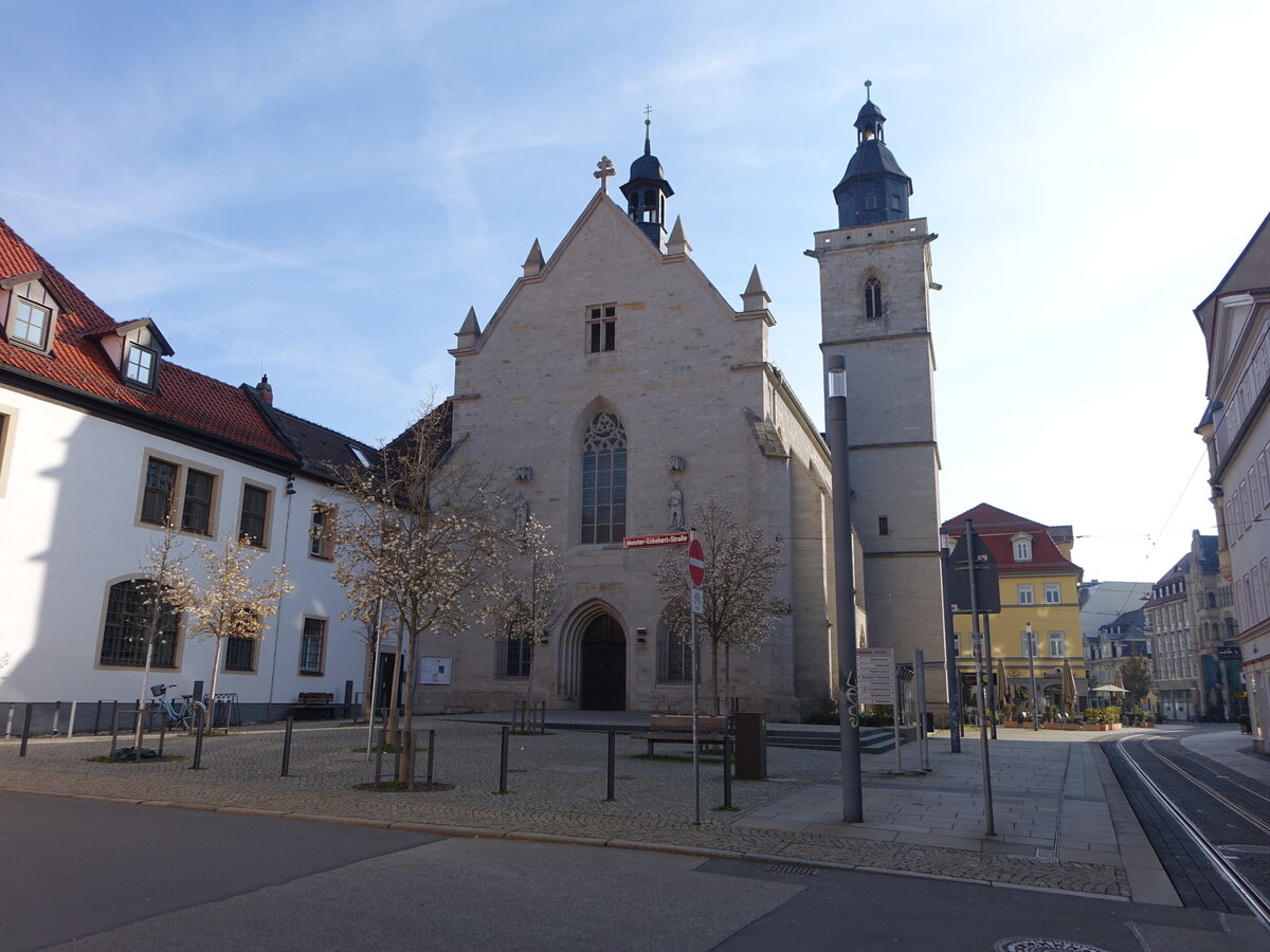 Erfurt, evangelische St. Wigbert Kirche, sptgotische Kirche erbaut bis 1473 (10.04.2023)