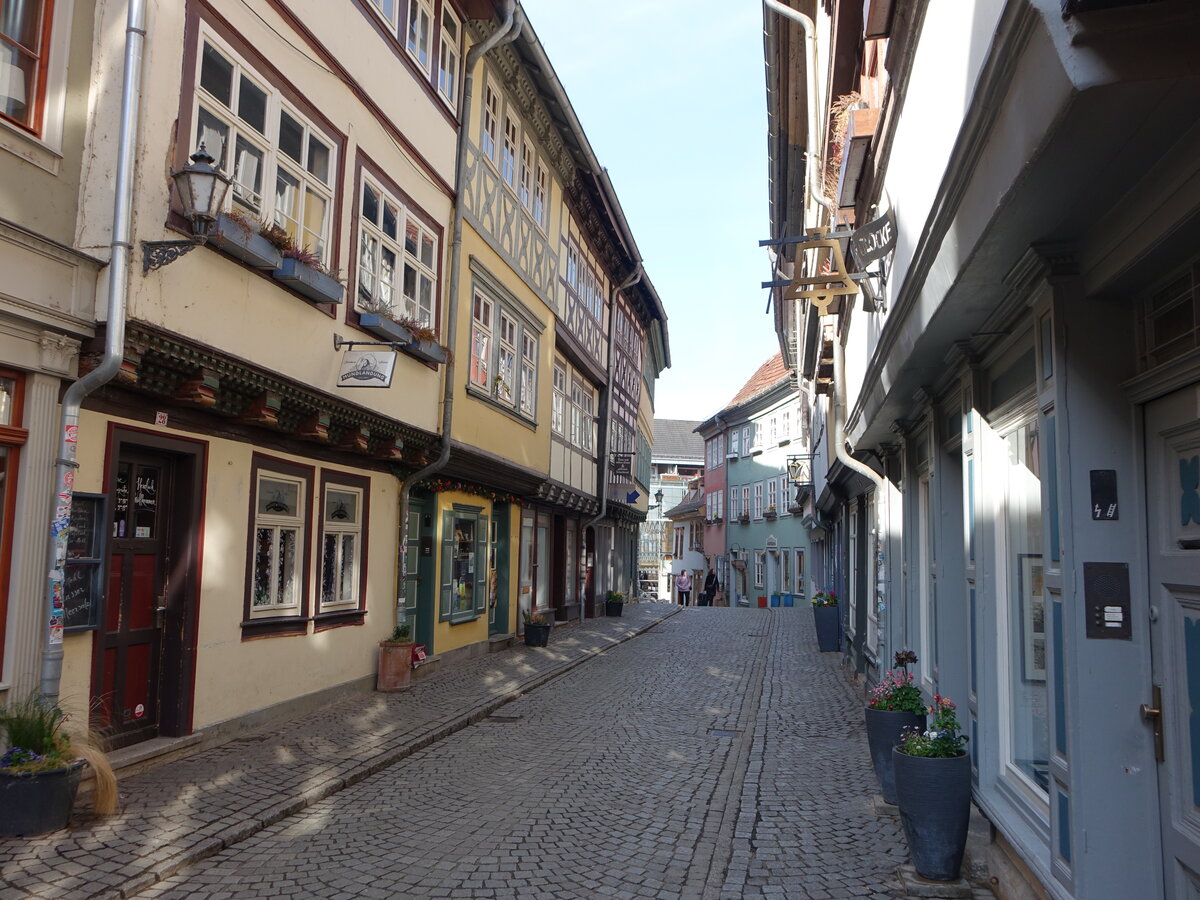 Erfurt, historische Fachwerkhuser auf der Krmerbrcke (10.04.2023)