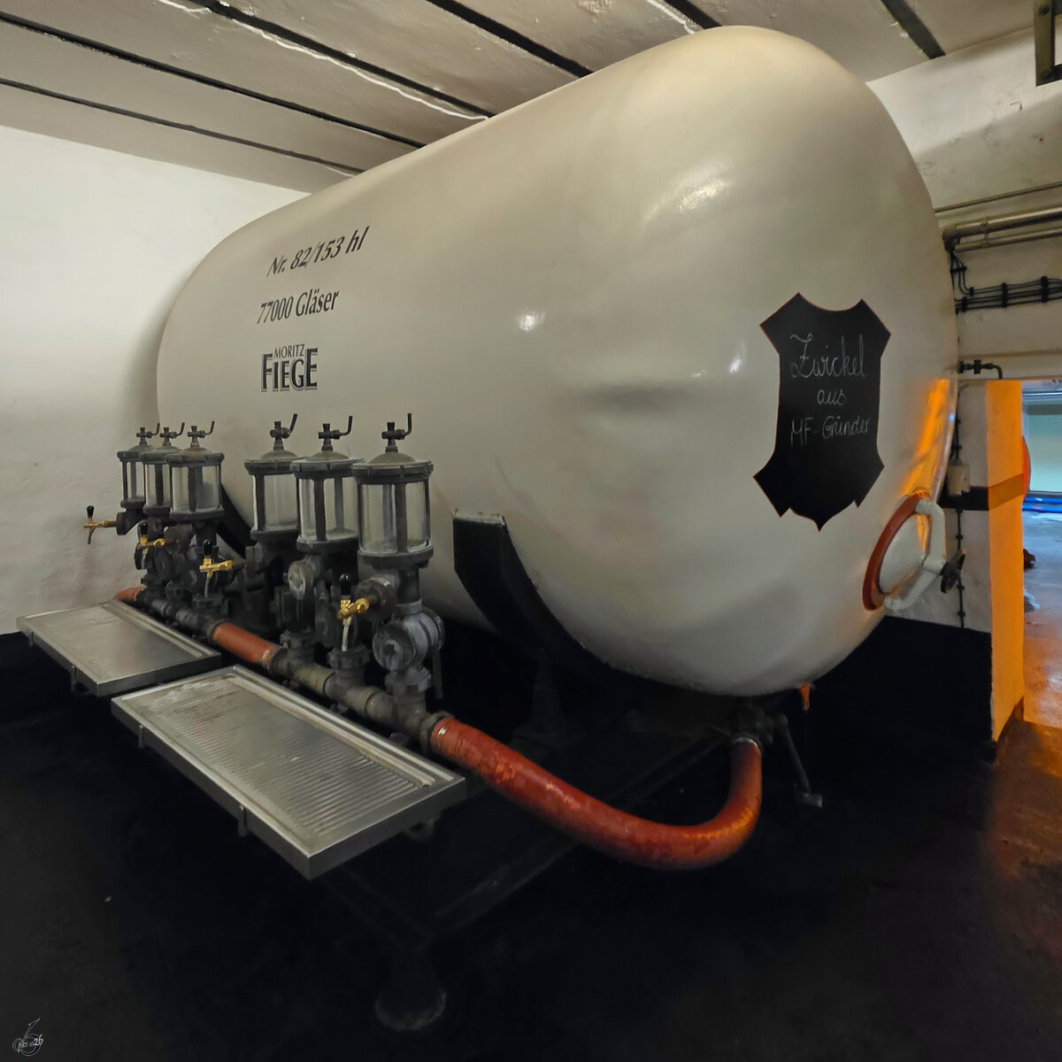 Erstmal ein Zwickel w�hrend der F�hrung durch die Privatbrauerei Moritz Fiege in Bochum. (April 2026)