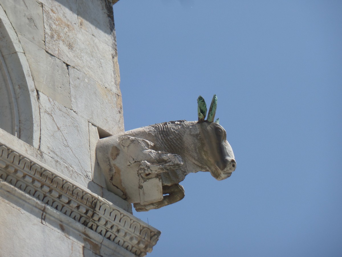 Eselskopf an einer Ecke am Dom in Pisa, Foto am 21.5.2014
