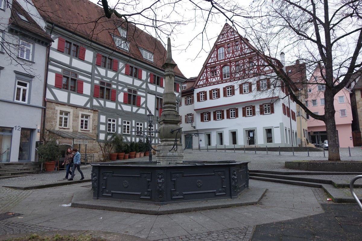 Esslingen, Brunnen am Hafenmarkt (18.01.2015)