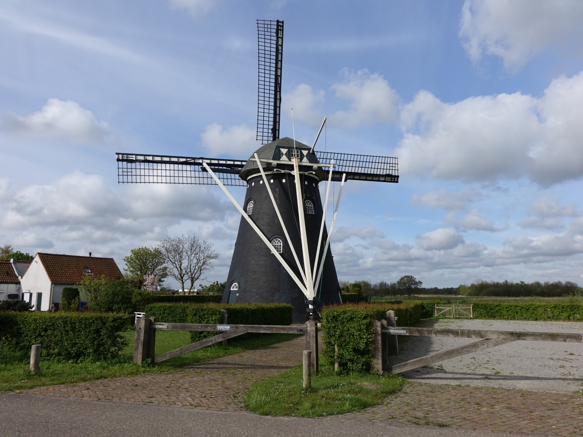 Etten-Leur, Zwartenbergse Molen, Poldermhle erbaut 1889 (01.05.2015)