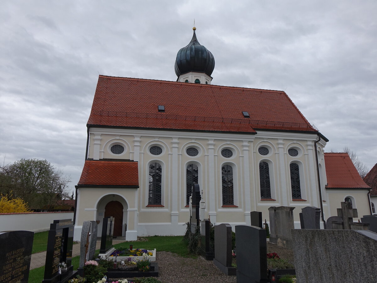Faistenhaar, Pfarrkirche St. Peter und Paul, barocker lisenengegliederter Saalbau, erbaut von 1683 bis 1735 (17.04.2016)