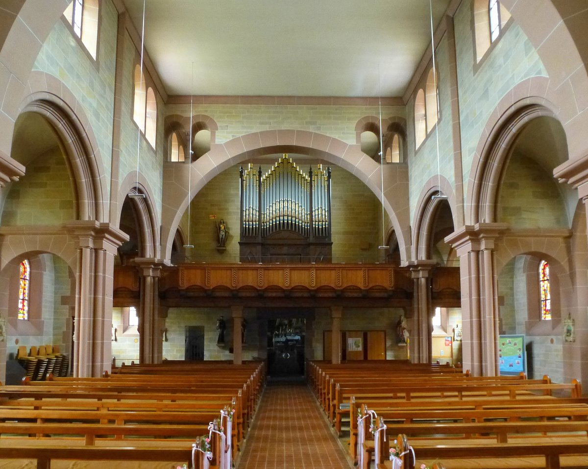 Forchheim, Blick zur Orgelempore in der Kirche St.Johannes Baptista, Sept.2017