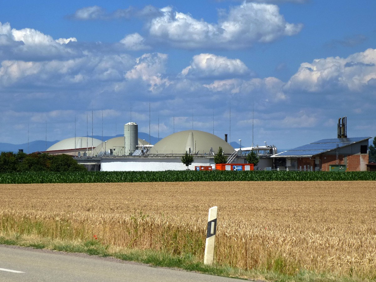 Forchheim in der Rheinebene, Blick auf die 2006 in Betrieb genommene Biogasanlage, Juli 2014