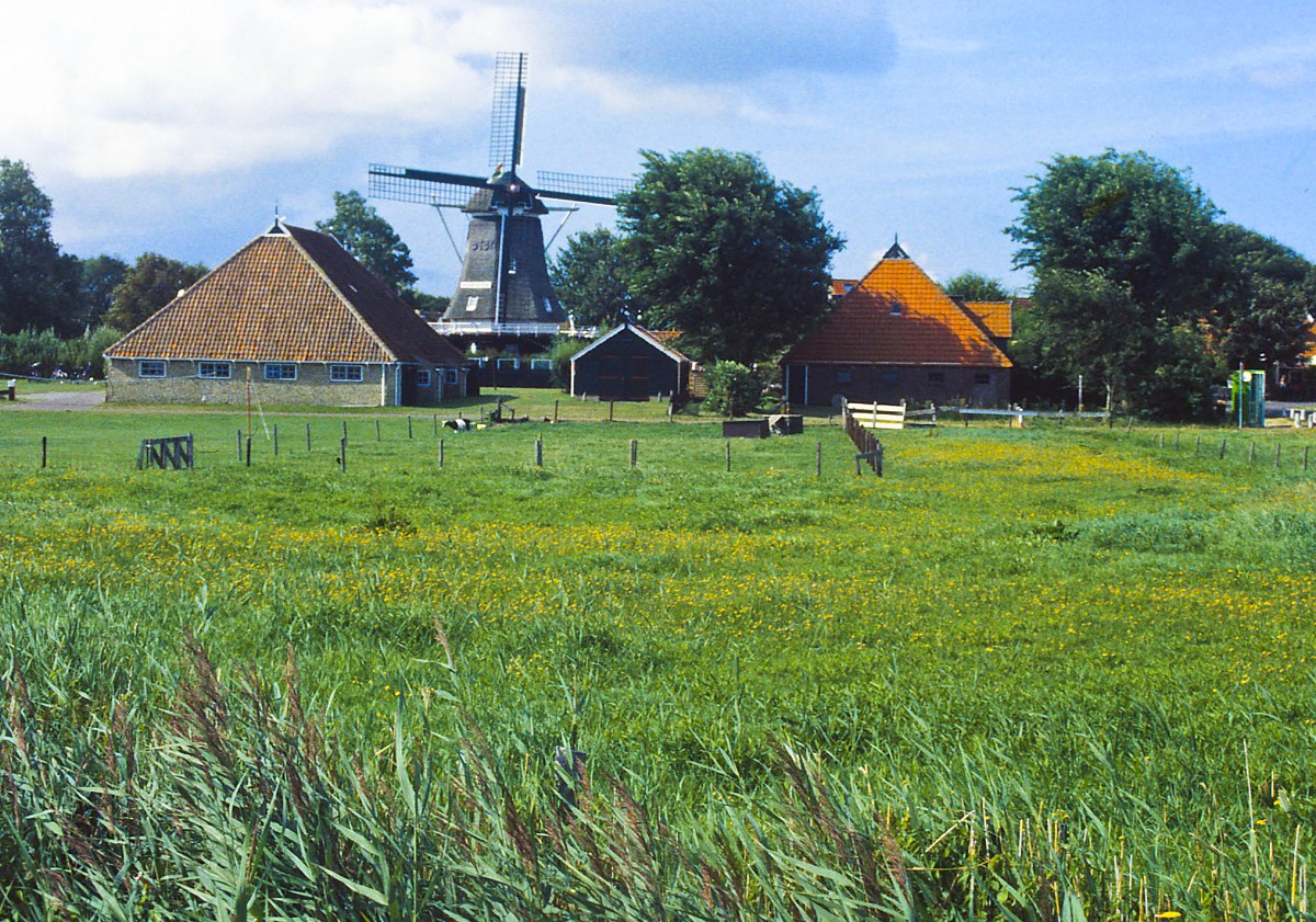 Formerum auf der niederlndischen Wattinsel Terschelling. Aufnahme: August 2000 (Bild vom Dia).