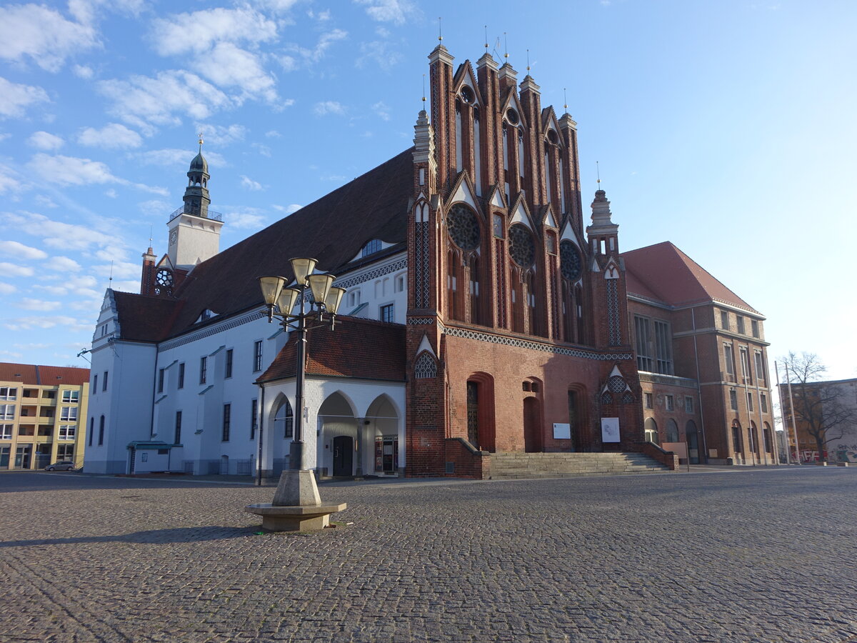 Frankfurt / Oder, Brandenburgisches Landesmuseum f�r moderne Kunst in der Rathaushalle (05.04.2026)