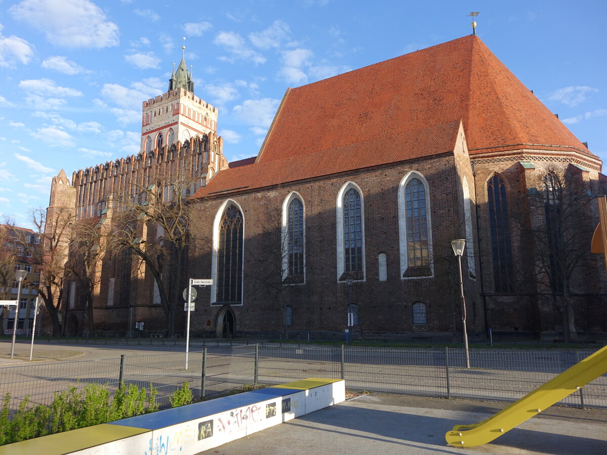Frankfurt / Oder, evangelische St. Marien Kirche, erbaut ab 1253 (05.04.2026)