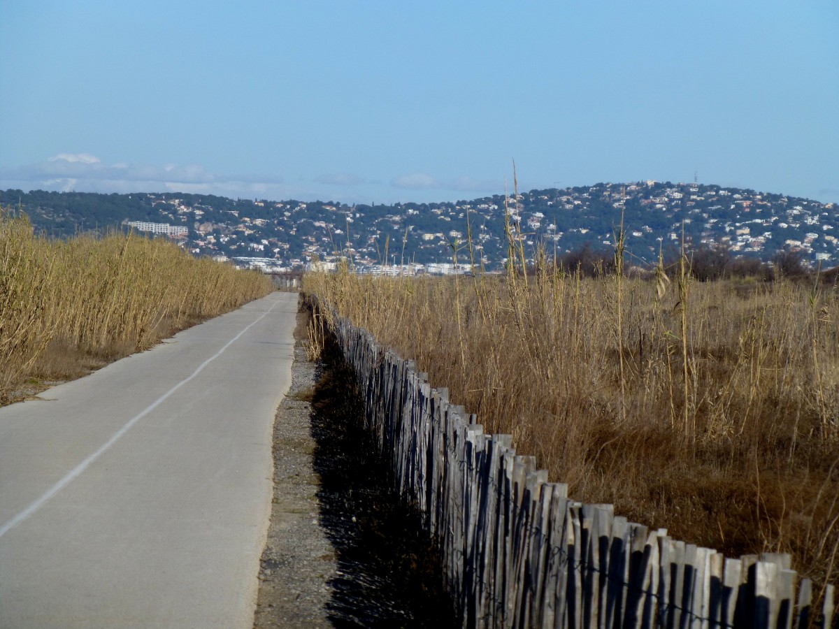 Frankreich, Languedoc, Hrault, der Radweg Ste-Marseillan, links und rechts die rehabilitierten Dnen. 04.02.2014