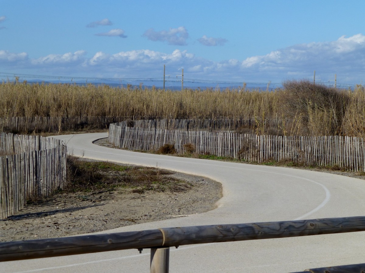 Frankreich, Languedoc, Hrault, der Radweg Ste-Marseillan, links und rechts die rehabilitierten Dnen. 04.02.2014