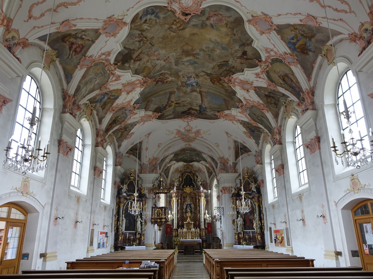 Frauenau, Maria Himmelfahrt Kirche, Hochaltar mit Altarbild von Carl Gasteiger, Seitenaltre von Benjamin Schreiter, Fresken von Franz Anton Rauscher, Stuck von 
Melchior Modler (24.05.2015)