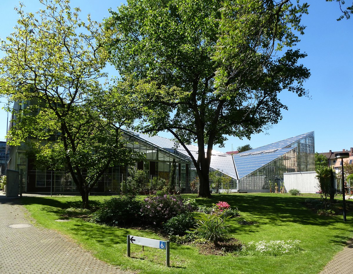 Freiburg, Blick auf die Gewchshuser im Botanischen Garten, Mai 2017
