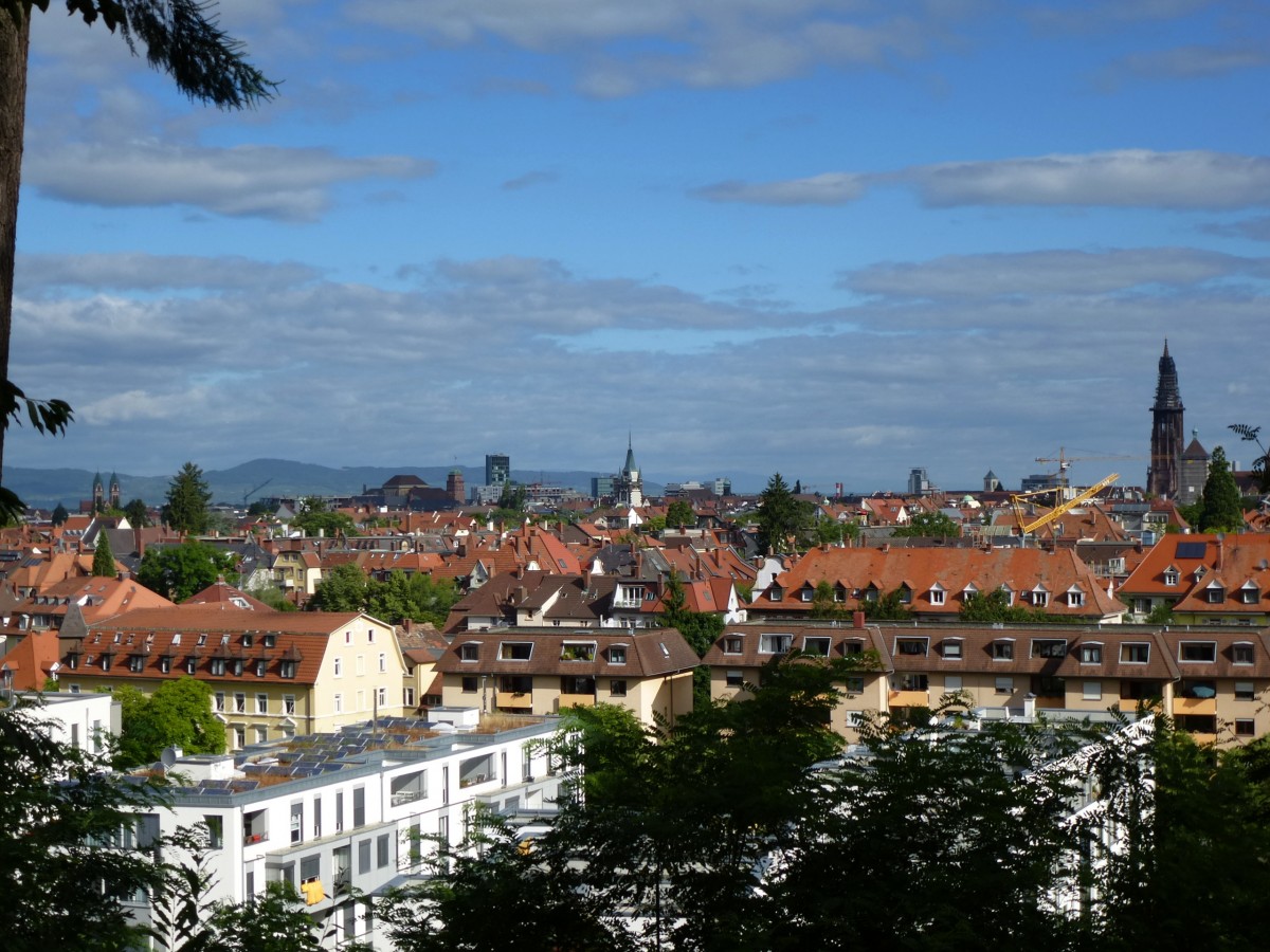 Freiburg, Blick auf die Stadt vom Sternwald aus, ganz rechts der eingerstete Mnsterturm, Aug.2013