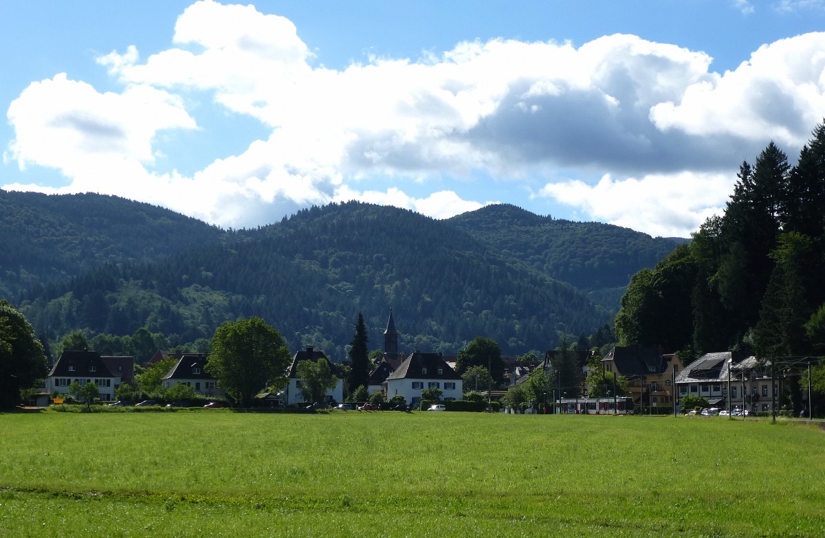 Freiburg, Blick auf den Stadteil Gnterstal, eingebettet in die Schwarzwaldberge, Juli 2013