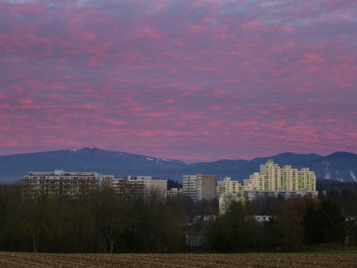 Freiburg, Blick beim Sonnenuntergang vom Lehener Berg auf den Stadtteil Landwasser und den Schwarzwald, Dez.2013