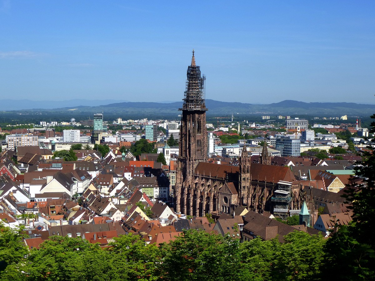 Freiburg, Blick vom Kanonenplatz auf dem Schloberg auf Stadt und Mnster, Juni 2014