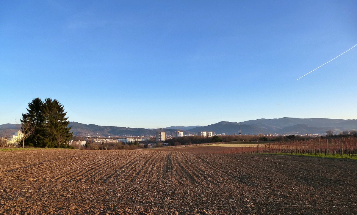 Freiburg, Blick vom Lehener Berg auf die Stadt und den Schwarzwald, Dez.2013