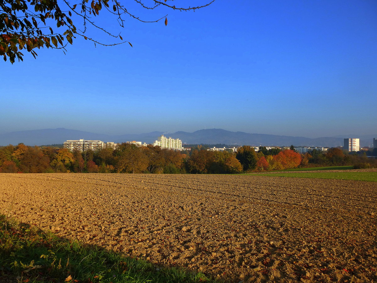 Freiburg, Blick vom Lehener Bergle ber den Stadtteil Landwasser zum Schwarzwald, Okt.2015