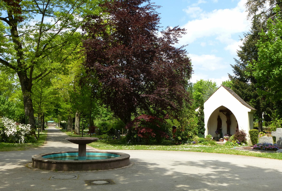 Freiburg,  Blick in die parkhnliche Anlage des Hauptfriedhofes, Mai 2016