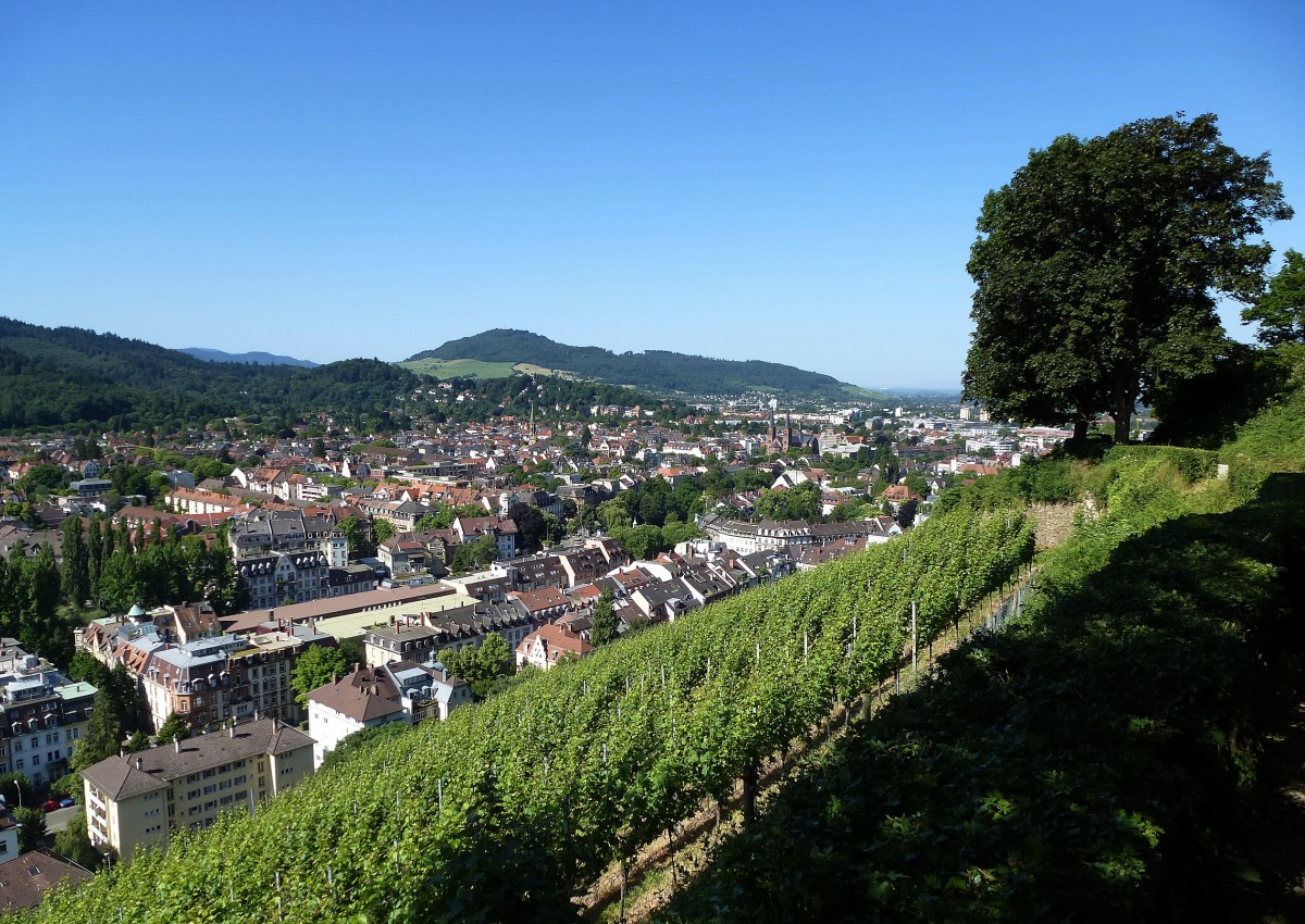 Freiburg, Blick vom Schloberg auf den Stadtteil Wiehre, im Hintergrund der 644m hohe Schnberg, Juni 2014
