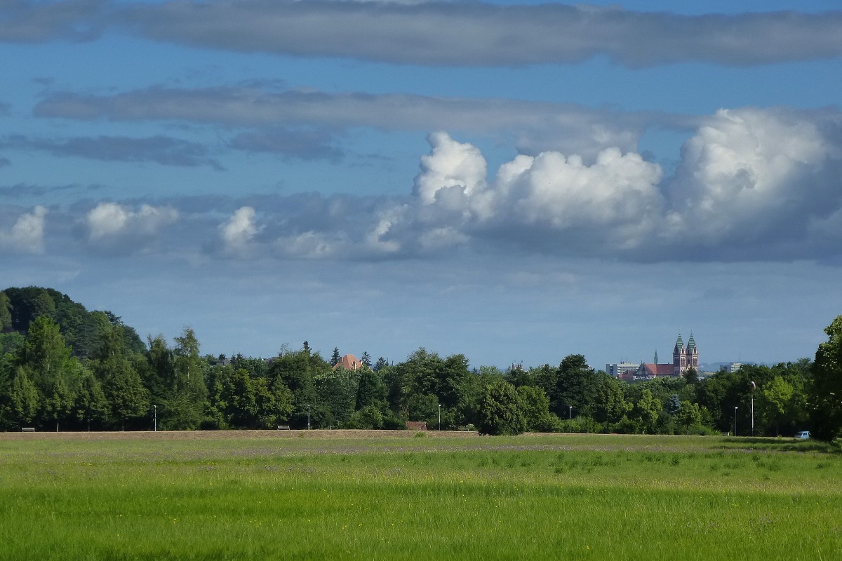 Freiburg, Blick von der Wonnhalde Richtung Stadt, mit den markanten Trmen der Sthlinger Kirche,  Juli 2013 Stadt