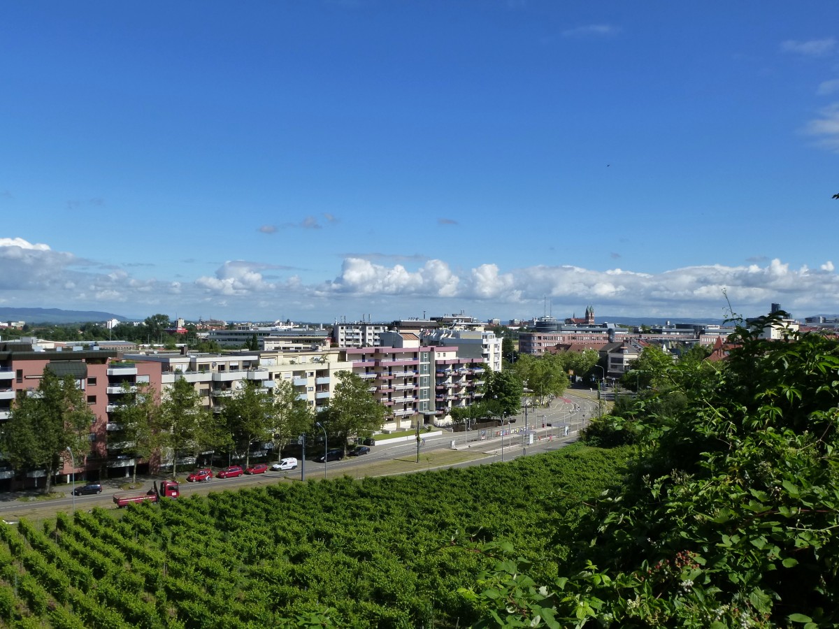 Freiburg im Breisgau, Blick von der Schlierbergstrae auf die Stadt, im Vordergrund die Merzhauser Strae, Juli 2013