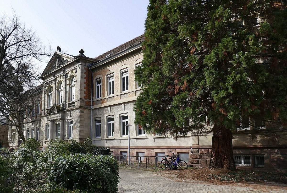 Freiburg, das Gebude im Institutsviertel beherbergt das Institut fr allgemeine Geologie und Mineralogie der Uni Freiburg, Feb.2021