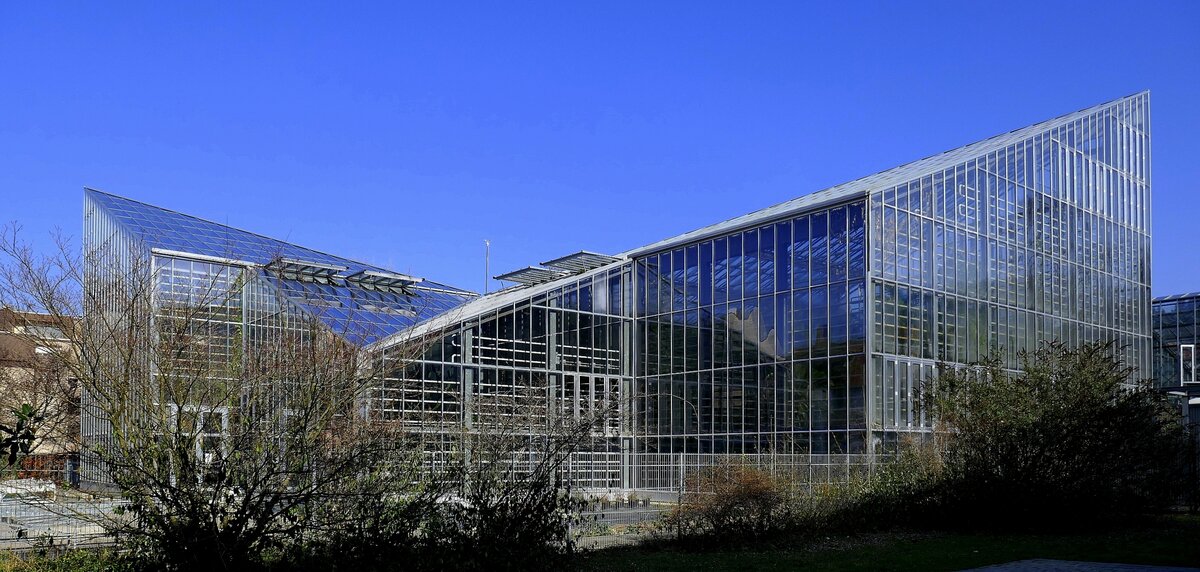 Freiburg, Gewchshaus im Botanischen Garten der Universitt Freiburg, bereits 1620 gegrndet, der heutige Garten wurde 1912-14 angelegt und stndig erweitert, Mrz 2022 