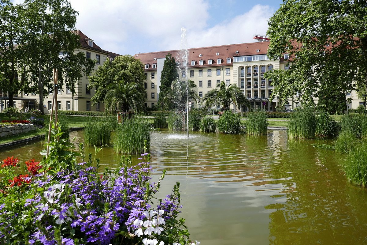 Freiburg, kleine Parkanlage im Universittsklinikum, Juni 2019