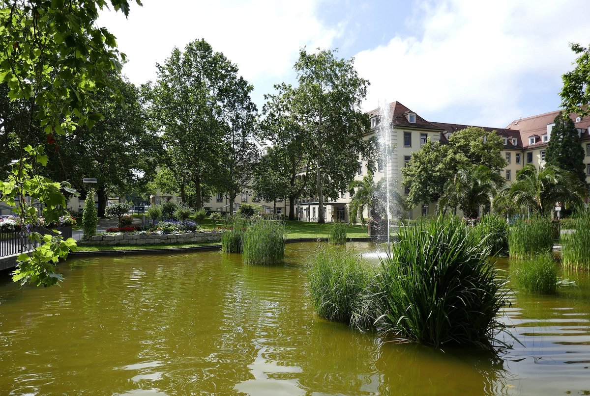 Freiburg, kleine Parkanlage im Universittsklinikum, Juni 2019