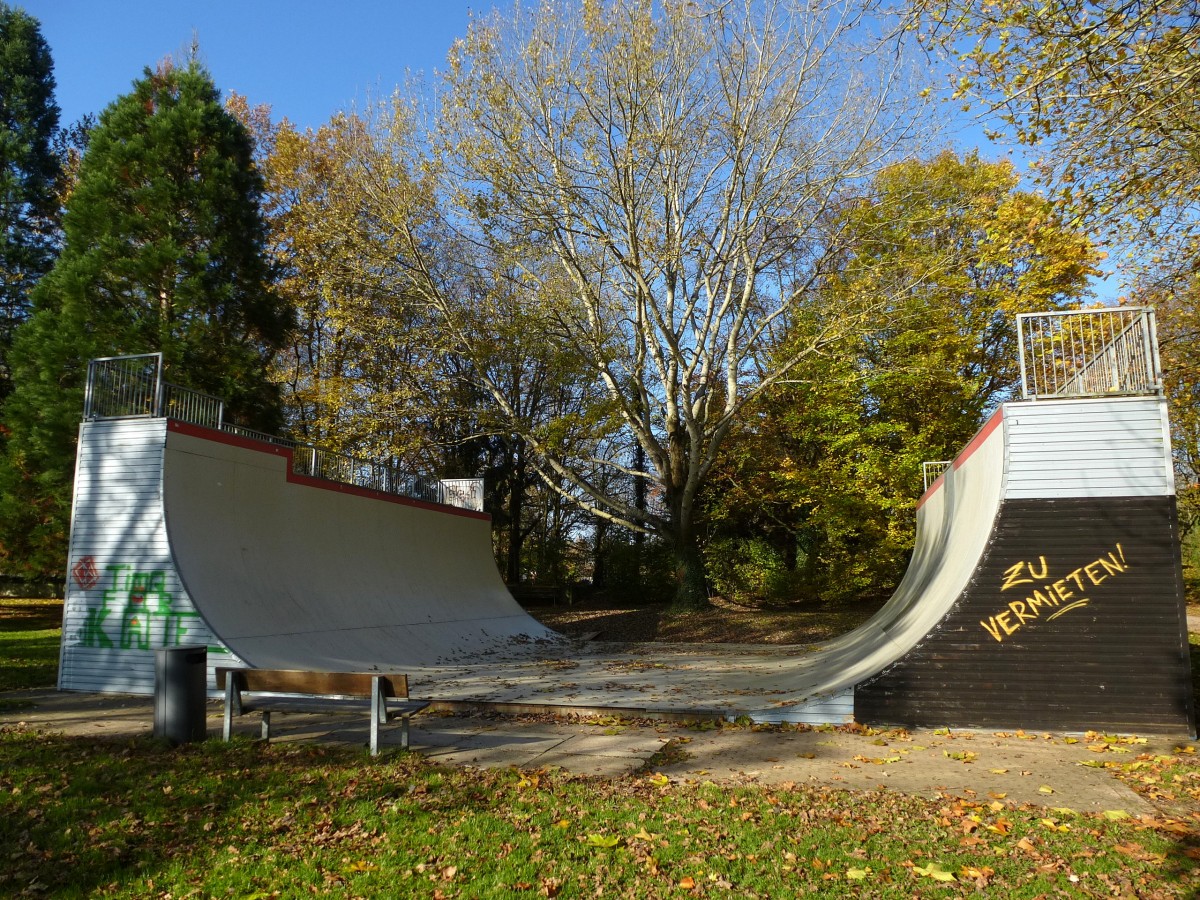 Freiburg-Landwasser, die Halfpipe am Moosweiher, Nov.2013