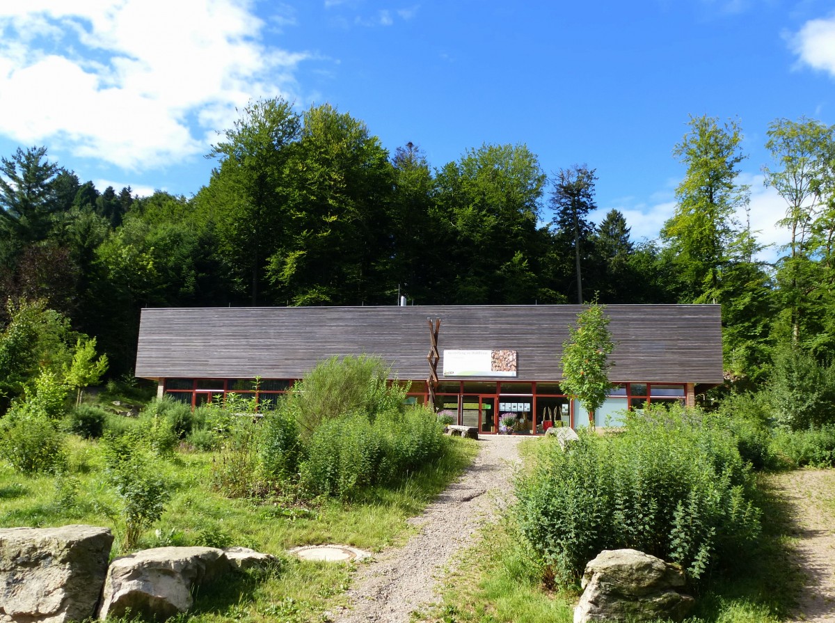 Freiburg, das Waldhaus, ein 2008 erbautes Bildungs-und Informationszentrum zum Thema Wald, Aug.2013