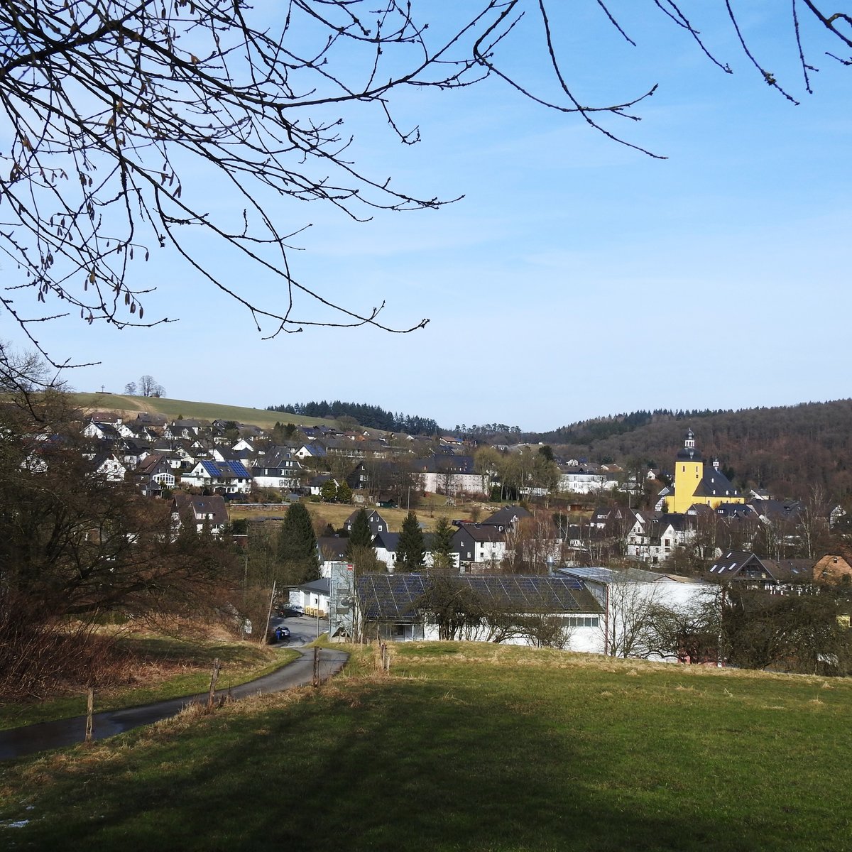 FRIESENHAGEN//LK. ALTENKIRCHEN
Die nrdlichste Gemeinde des LK ALTENKIRCHEN und von RHEINLAND-PFALZ wurde erstmals 1131 in einer
Urkunde von Papst INNOZENZ II. erwhnt.Die rk Pfarrkirche ST. SEBASTIANUS,eine ursprnglich
sptromanische,dreischiffige Kirche mit bemerkenswerter Ausstattung im Innenraum aus dem 15./16. Jhdt.,
beherrscht das Ortsbild...Auf dem Hgel (Blumenberg) oberhalb des Ortes erinnert die wohl aus dem 17. Jhdt.
stammende ST. ANNA-KAPELLE( Rote Kapelle ) an die ber 200 Opfer der Hexenverfolgungen zwischen
1590-1652....am 6.3.2018