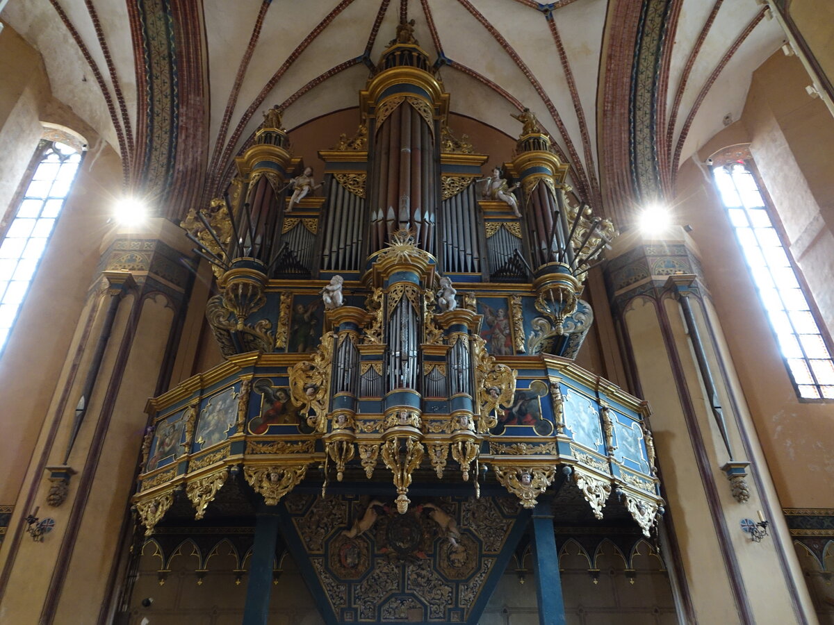 Frombork / Frauenburg, Orgel mit Prospekt von 1685 in der Kathedrale St. Andreas (03.08.2021)