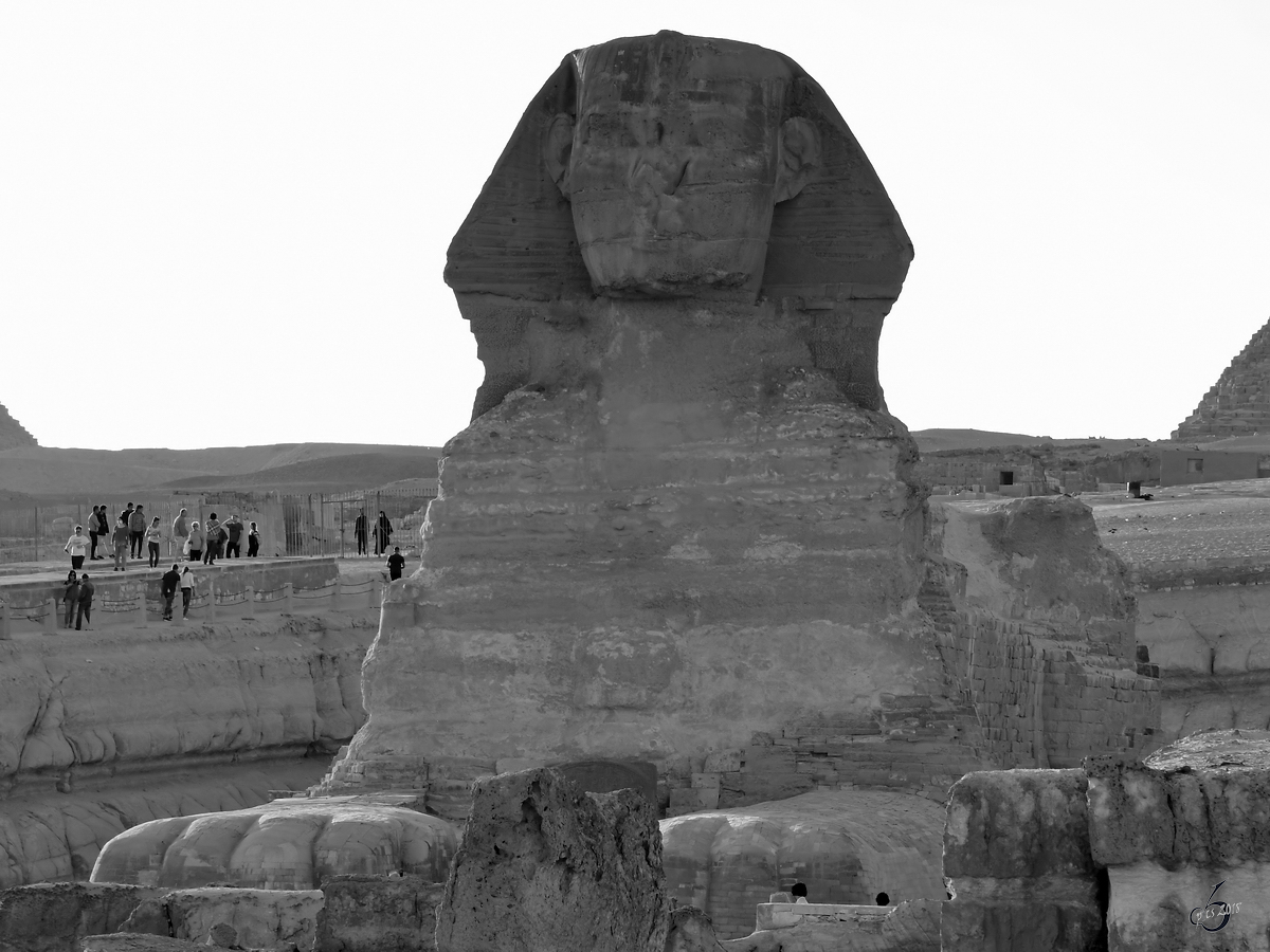 Frontansicht der Großen Sphinx Mitte Dezember 2018 in Gizeh.