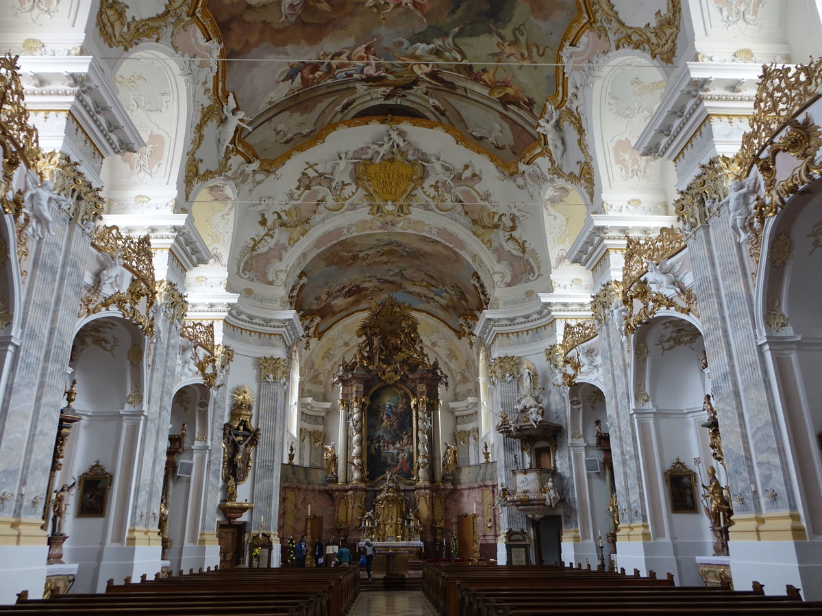 Frstenzell, barocker Innenraum der Kklosterkirche Maria Himmelfahrt, erbaut ab 1739 durch Johann Michael Fischer, Hochaltar von Johann Baptist Straub aus dem Jahr 1741, Seitenaltre von Joseph Matthias Gtz, die Stuckaturen schuf Johann Baptist Modler, Fresken von Johann Jakob Zeiller (20.10.2018)