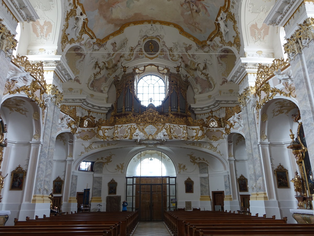 Frstenzell, Orgelempore in der Klosterkirche Maria Himmelfahrt (20.10.2018)