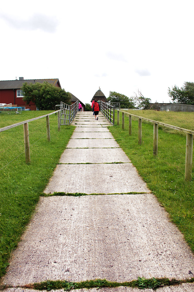 Fuweg ber dem Deich am Olandwart - das einzige Dorf auf der nordfriesischen Hallig Oland. Rund 20 Einwohner wohnen in 17 Husern auf der Olandwarft. Oland hat eine Schule, eine Kirche, ein Gasthaus, ein Gemeindehaus mit Bcherei und den Leuchtturm Oland – dieses Leuchtfeuer ist das einzige reetgedeckte Leuchtfeuer Deutschlands.
Aufnahme: 25. Juni 2017.