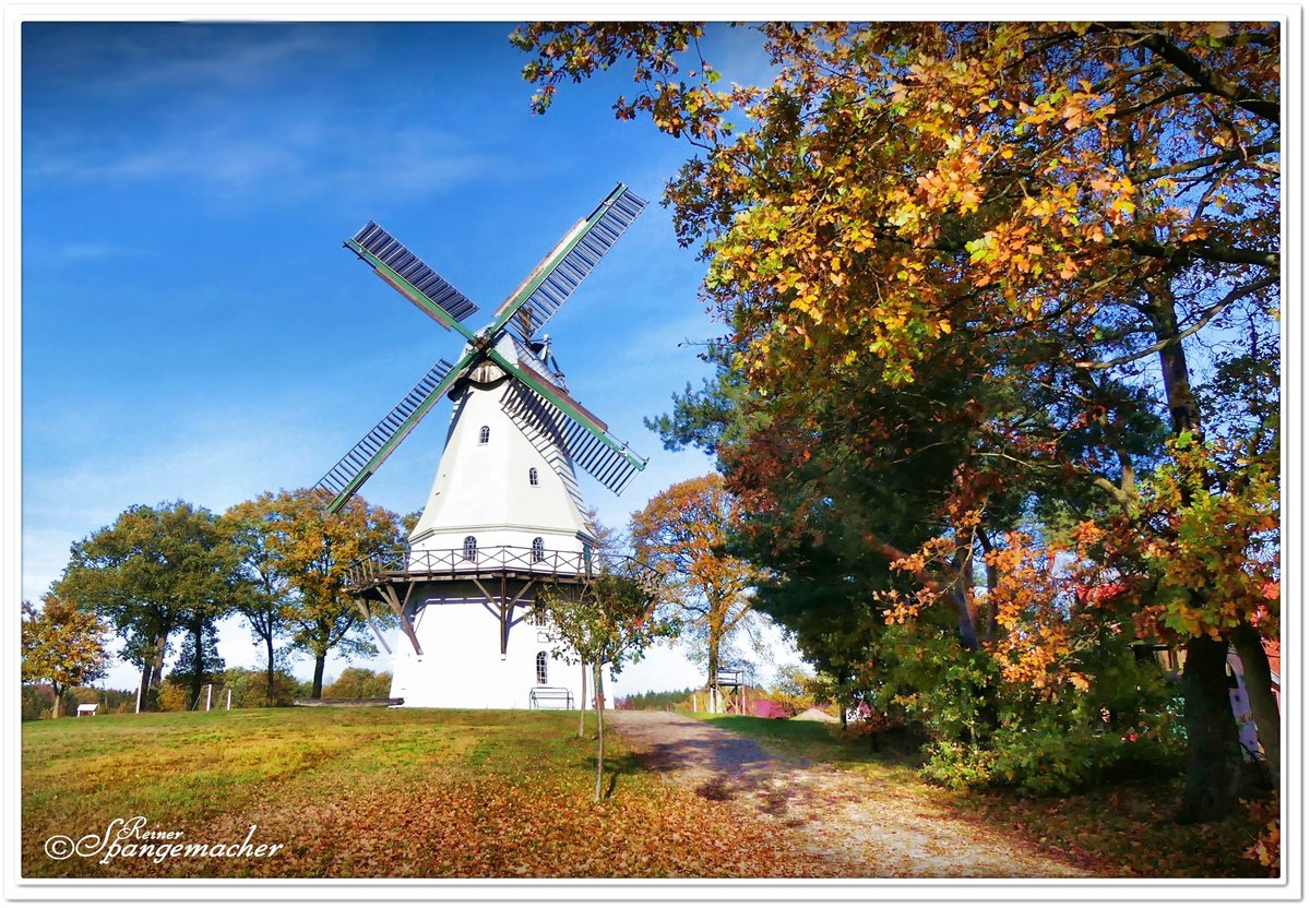 Galerie-Hollnder Windmhle in Sprengel bei Schneverdingen im Heidekreis. Aufgenommen am 12.11.2020.