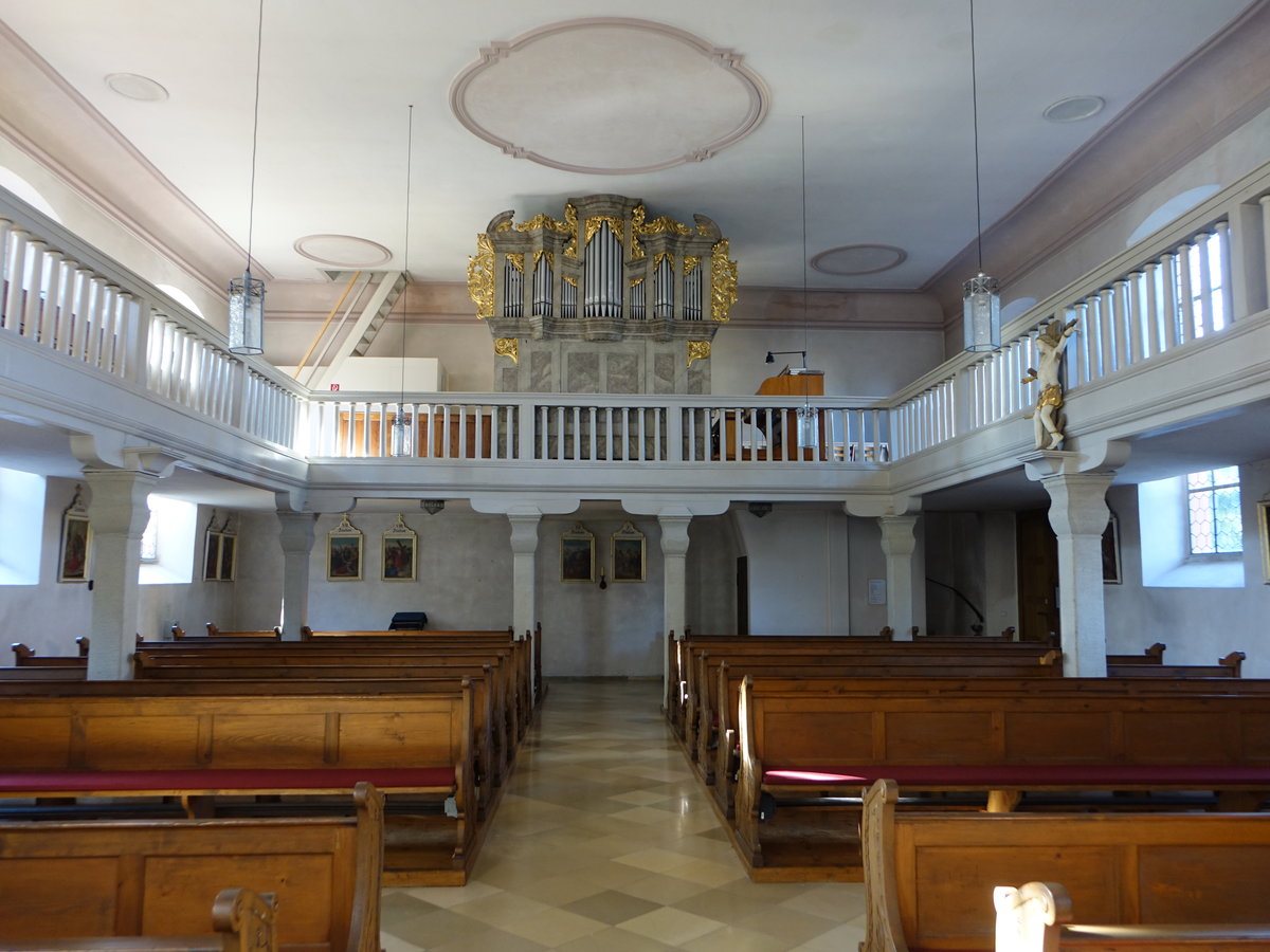 Garitz, Orgelempore in der St. Nepomuk Kirche, erbaut von 1745 bis 1747 (07.07.2018)