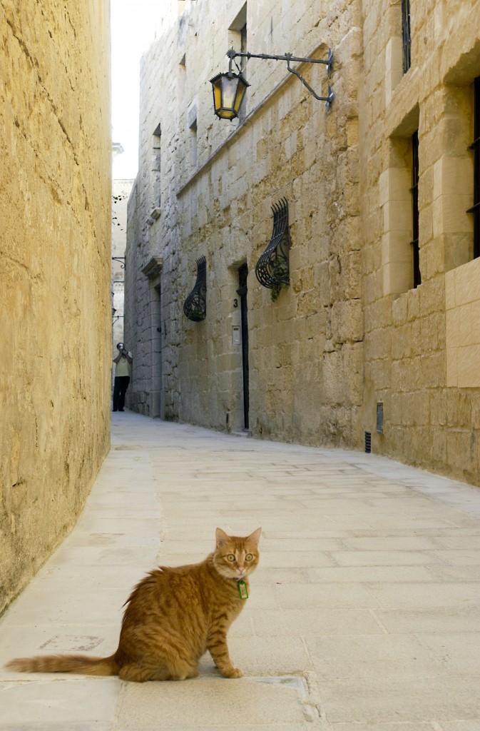 Gasse in der Altstadt von Mdina - Malta. Aufnahme: Oktober 2005.