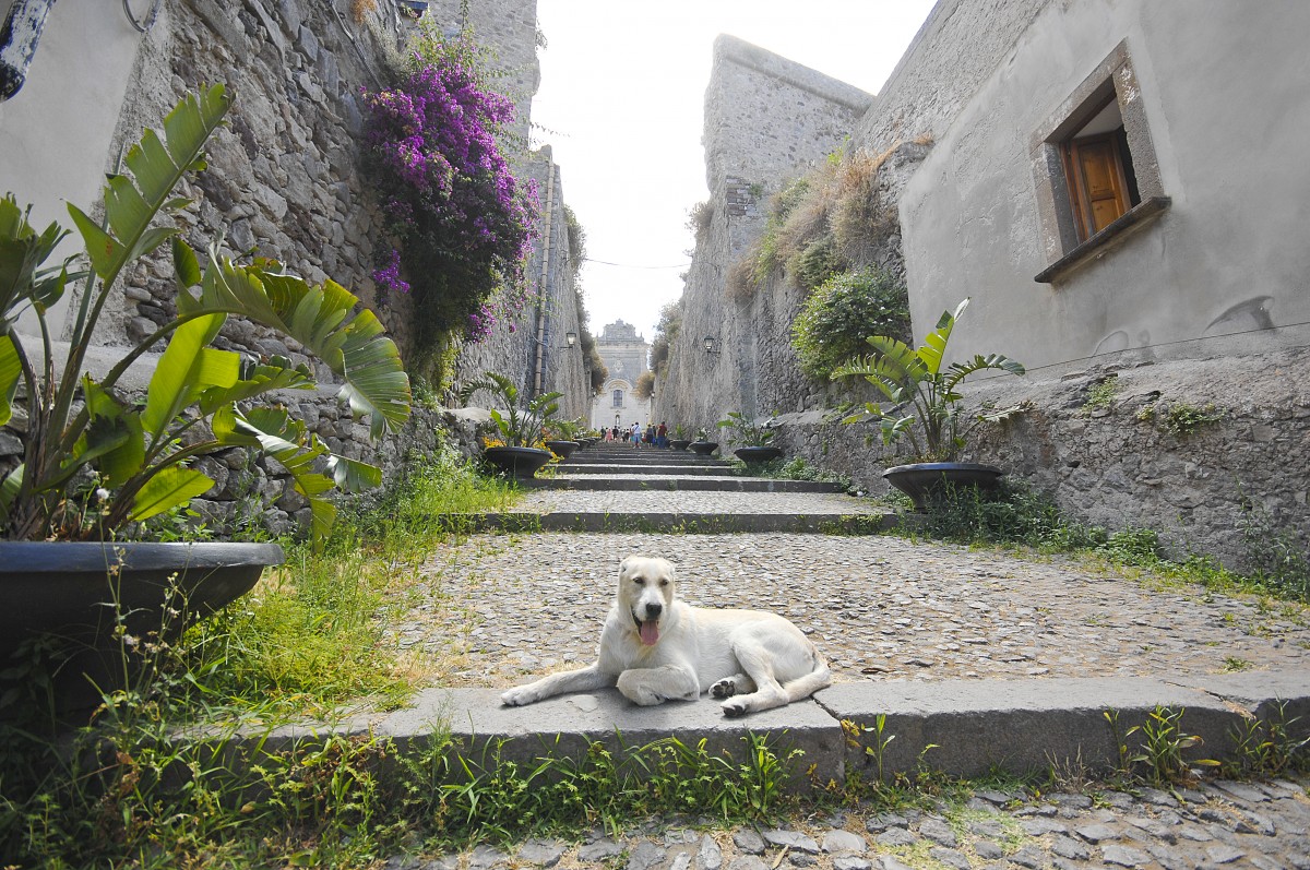 Gasse in Lipari auf der gleichnamigen Insel. Aufnahme: Juli 2013.